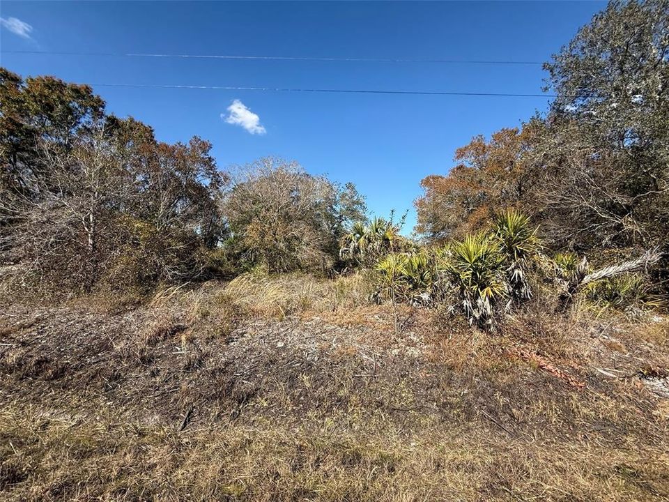 Recently Sold: $32,000 (1.25 acres)