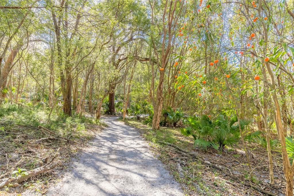 На продажу: $369,000 (10.47 acres)