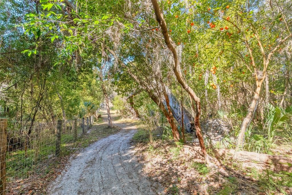 На продажу: $369,000 (10.47 acres)