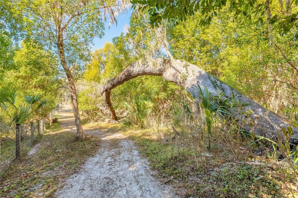 На продажу: $369,000 (10.47 acres)