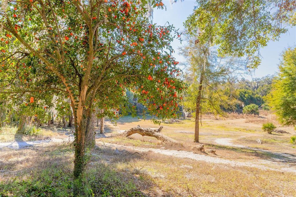 На продажу: $369,000 (10.47 acres)