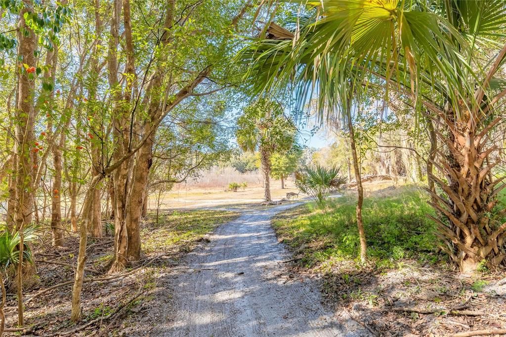 На продажу: $369,000 (10.47 acres)