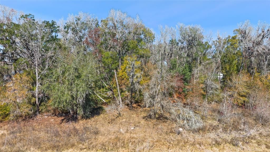 En Venta: $18,500 (0.32 acres)