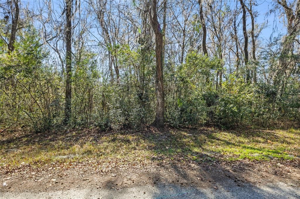 En Venta: $18,500 (0.32 acres)