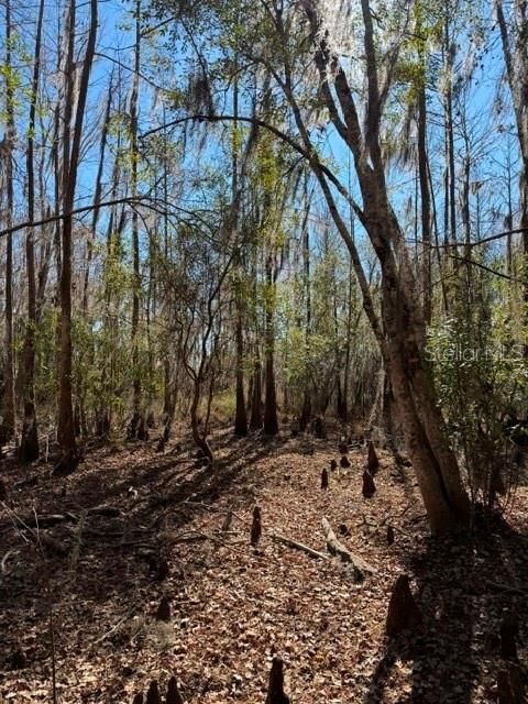 待售: $165,000 (1.54 acres)