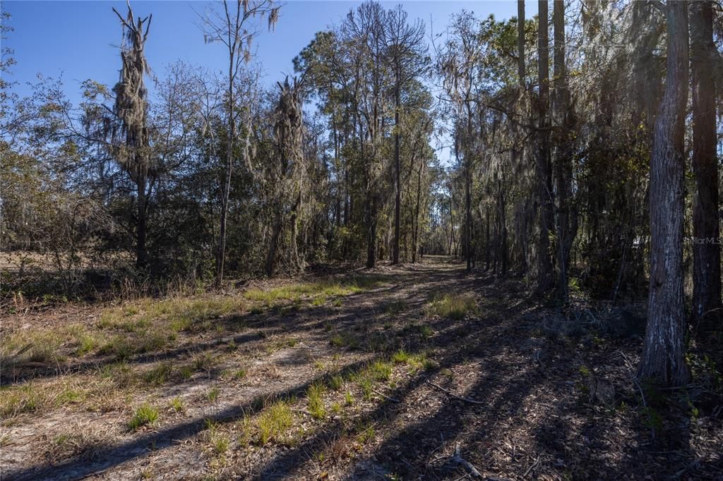 待售: $165,000 (1.54 acres)