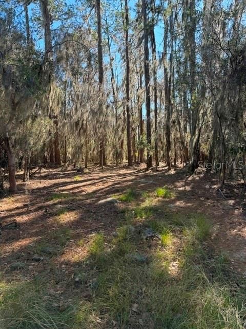 待售: $165,000 (1.54 acres)