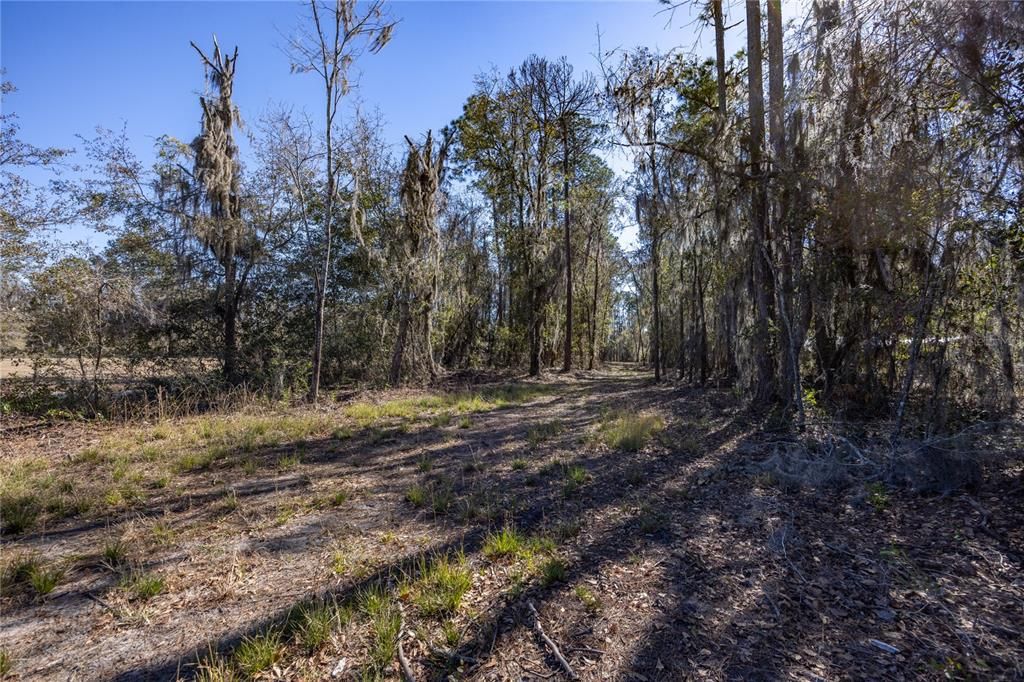 待售: $165,000 (1.54 acres)