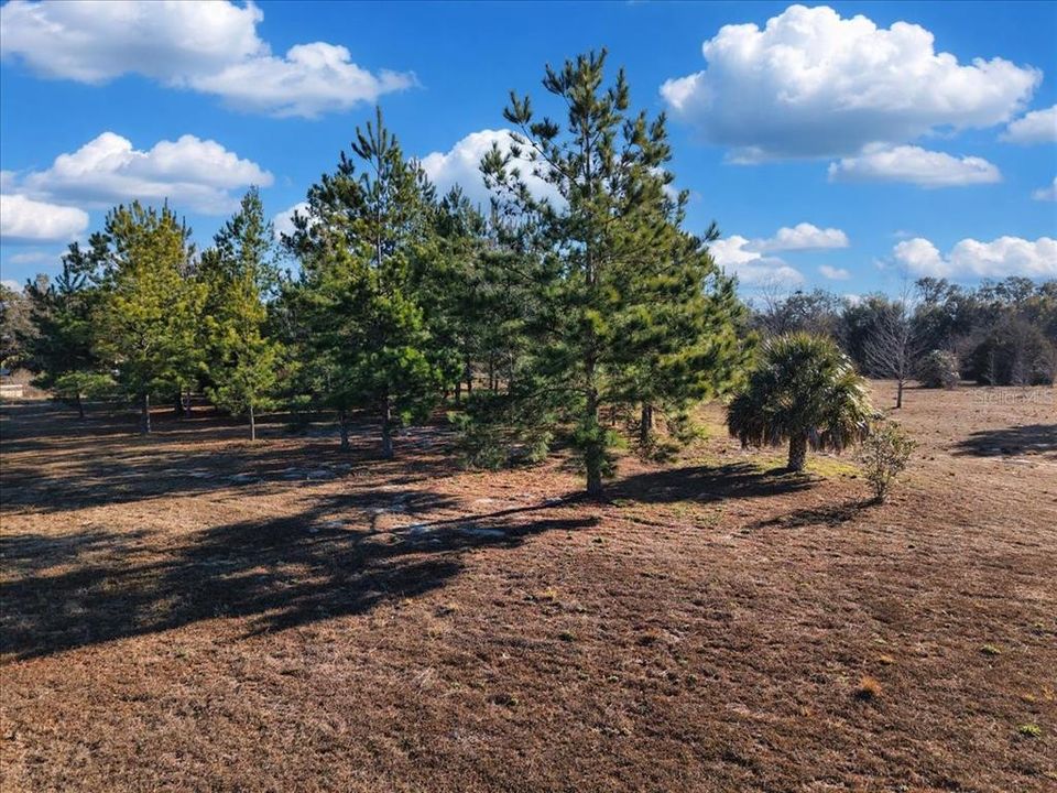 For Sale: $115,000 (4.79 acres)