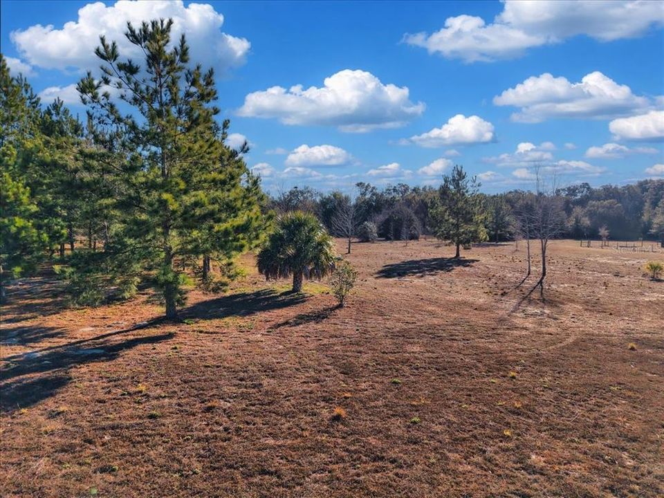 For Sale: $115,000 (4.79 acres)