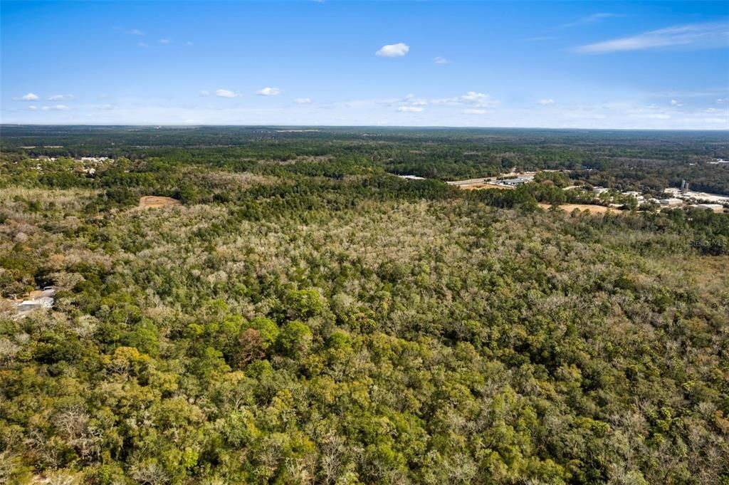En Venta: $1,311,000 (49.23 acres)