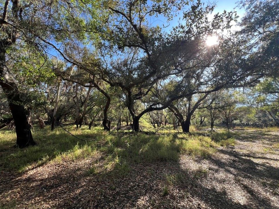 Recently Sold: $455,000 (20.62 acres)