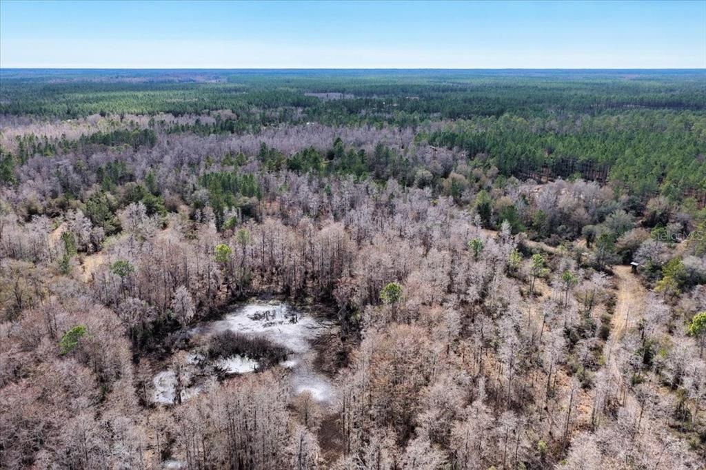 На продажу: $412,000 (59.89 acres)