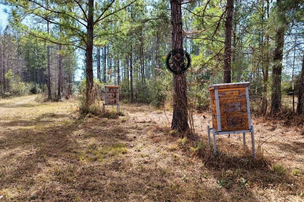 На продажу: $412,000 (59.89 acres)