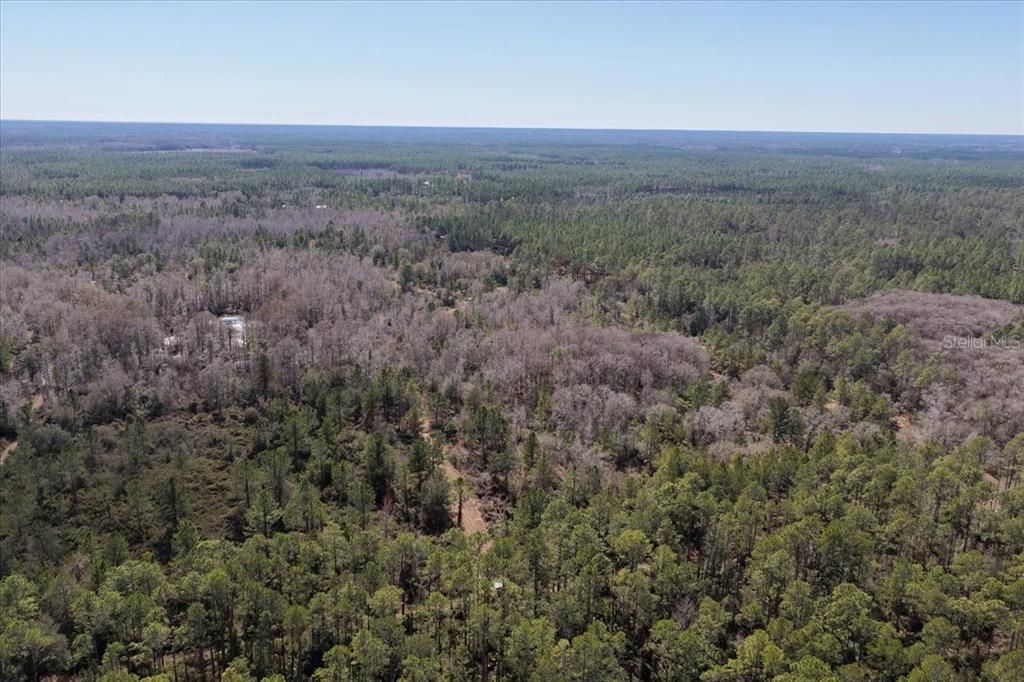 На продажу: $412,000 (59.89 acres)