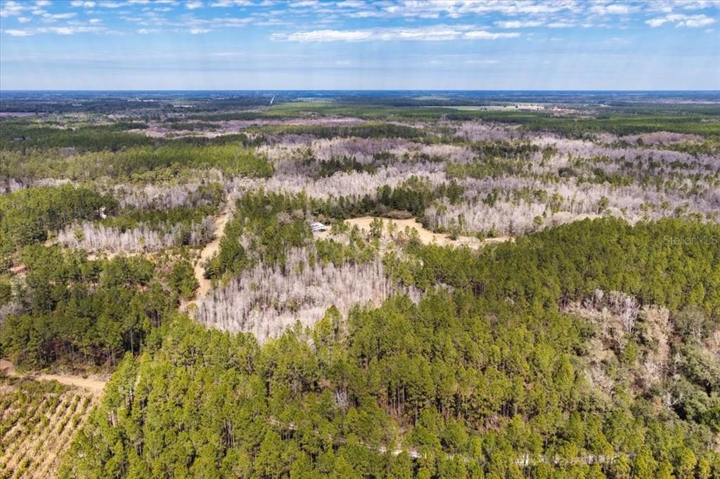 На продажу: $412,000 (59.89 acres)