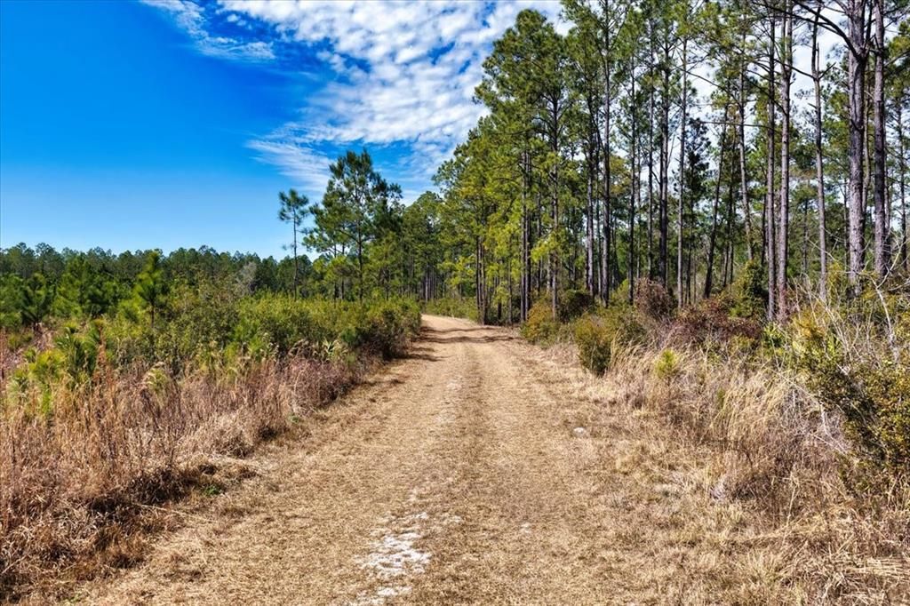 На продажу: $412,000 (59.89 acres)