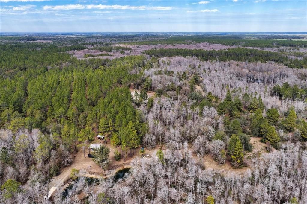 На продажу: $412,000 (59.89 acres)