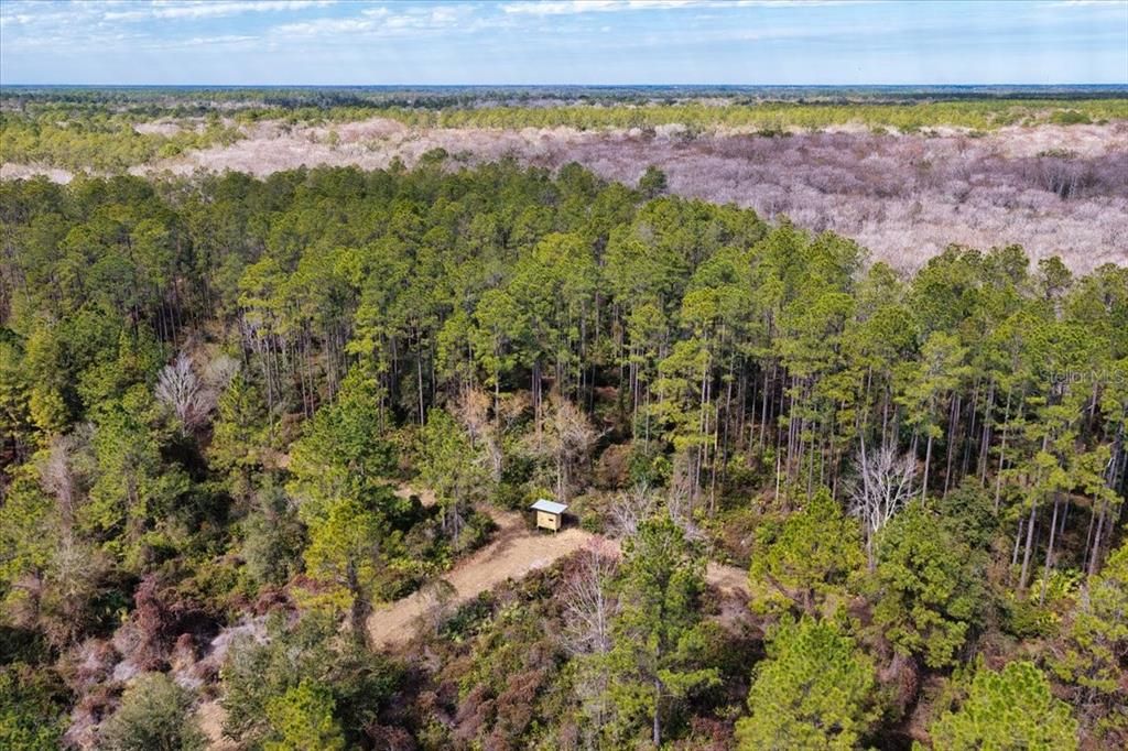 На продажу: $412,000 (59.89 acres)