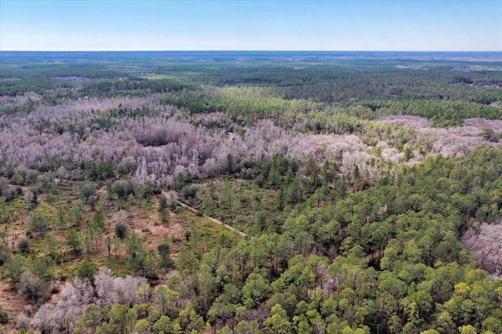 На продажу: $412,000 (59.89 acres)