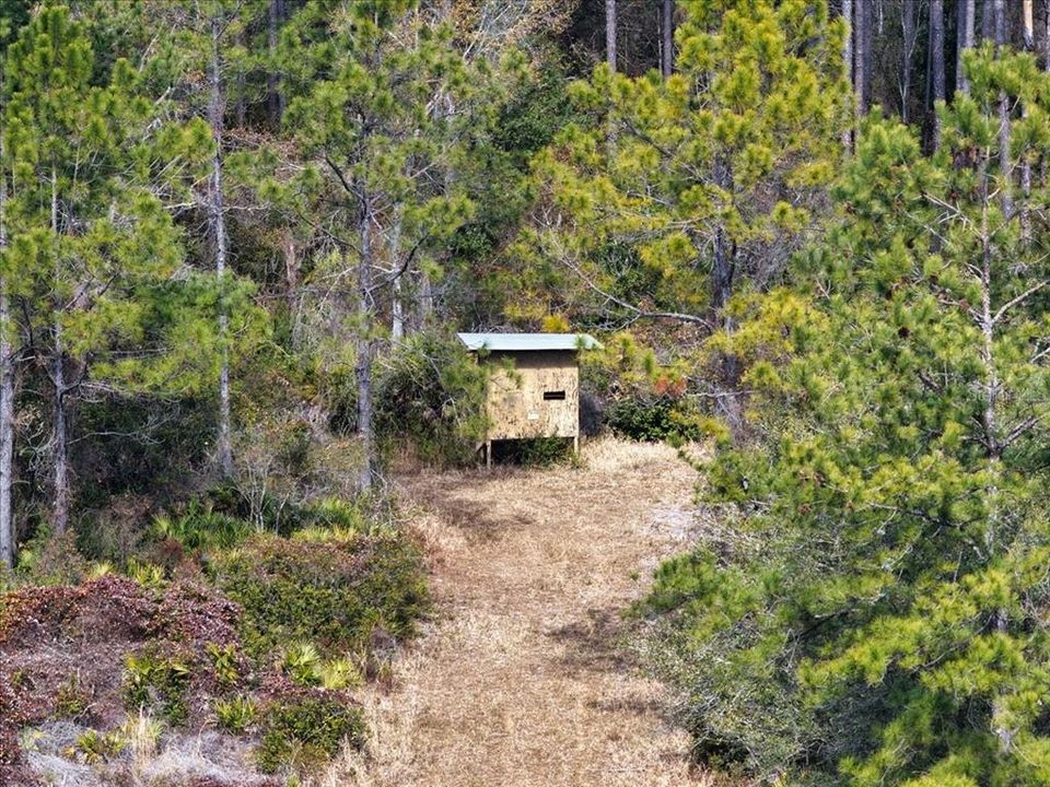 На продажу: $412,000 (59.89 acres)