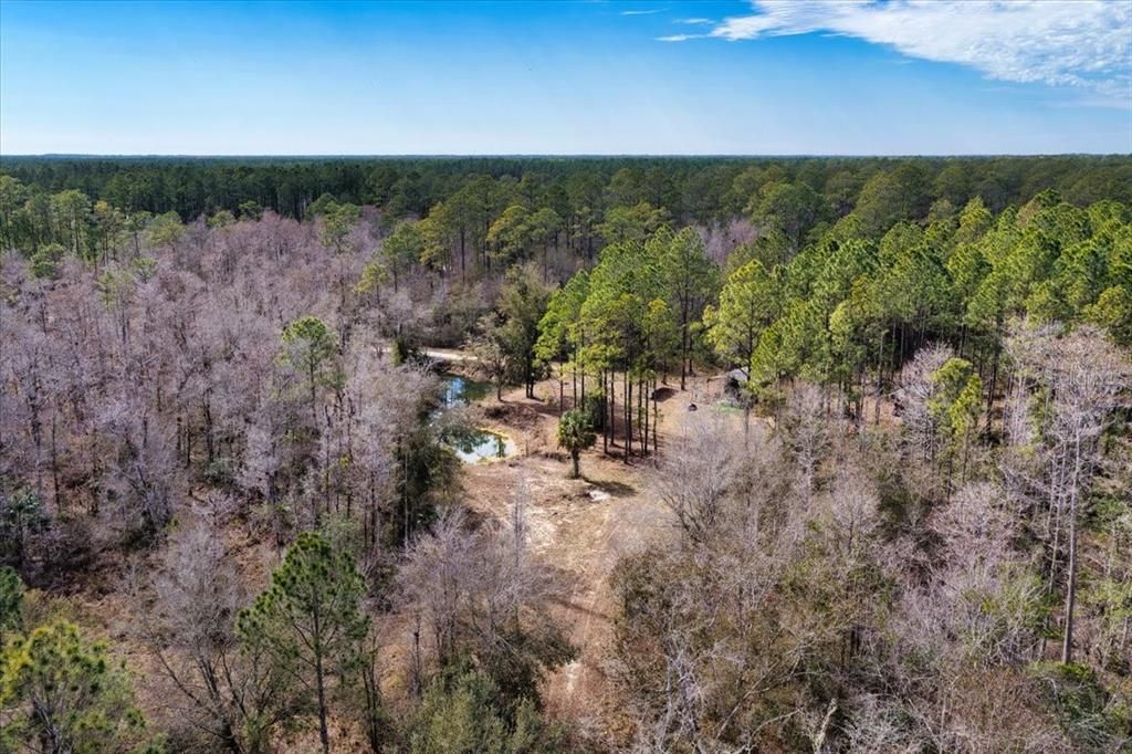 На продажу: $412,000 (59.89 acres)