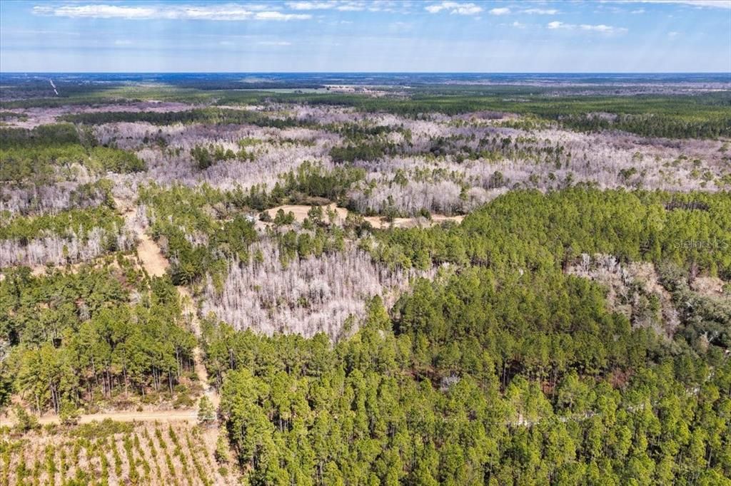 На продажу: $412,000 (59.89 acres)