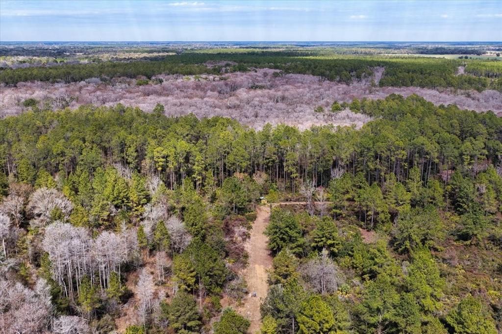 На продажу: $412,000 (59.89 acres)