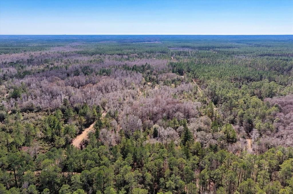 На продажу: $412,000 (59.89 acres)