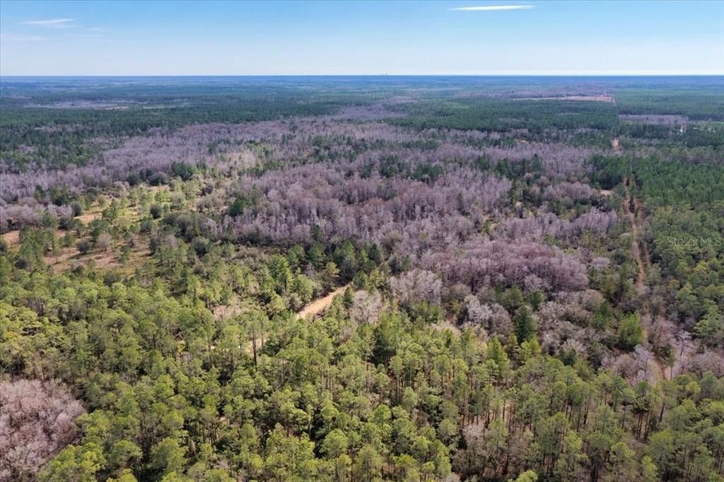 На продажу: $412,000 (59.89 acres)