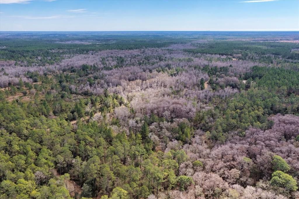 На продажу: $412,000 (59.89 acres)