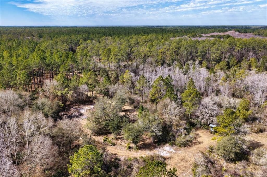 На продажу: $412,000 (59.89 acres)