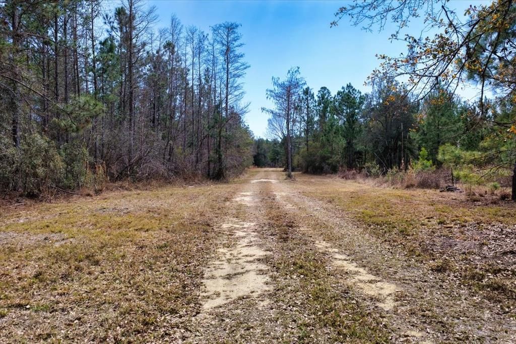 На продажу: $412,000 (59.89 acres)