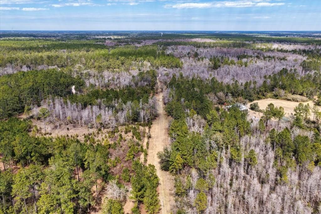 На продажу: $412,000 (59.89 acres)