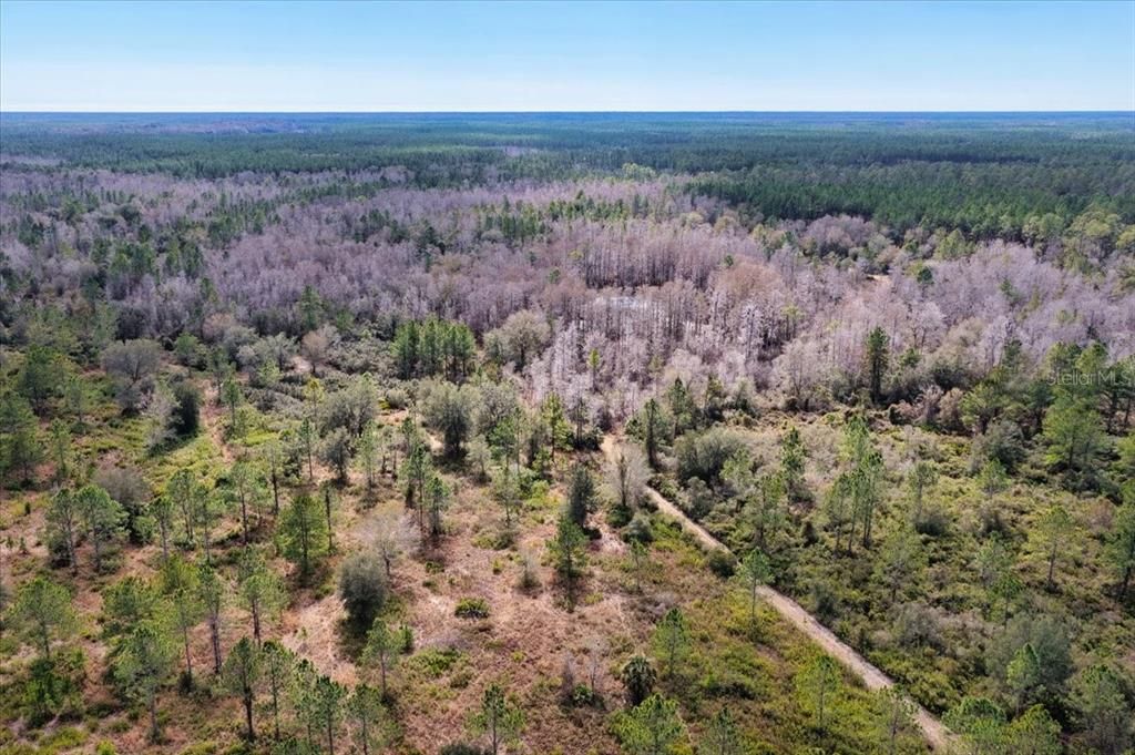 На продажу: $412,000 (59.89 acres)