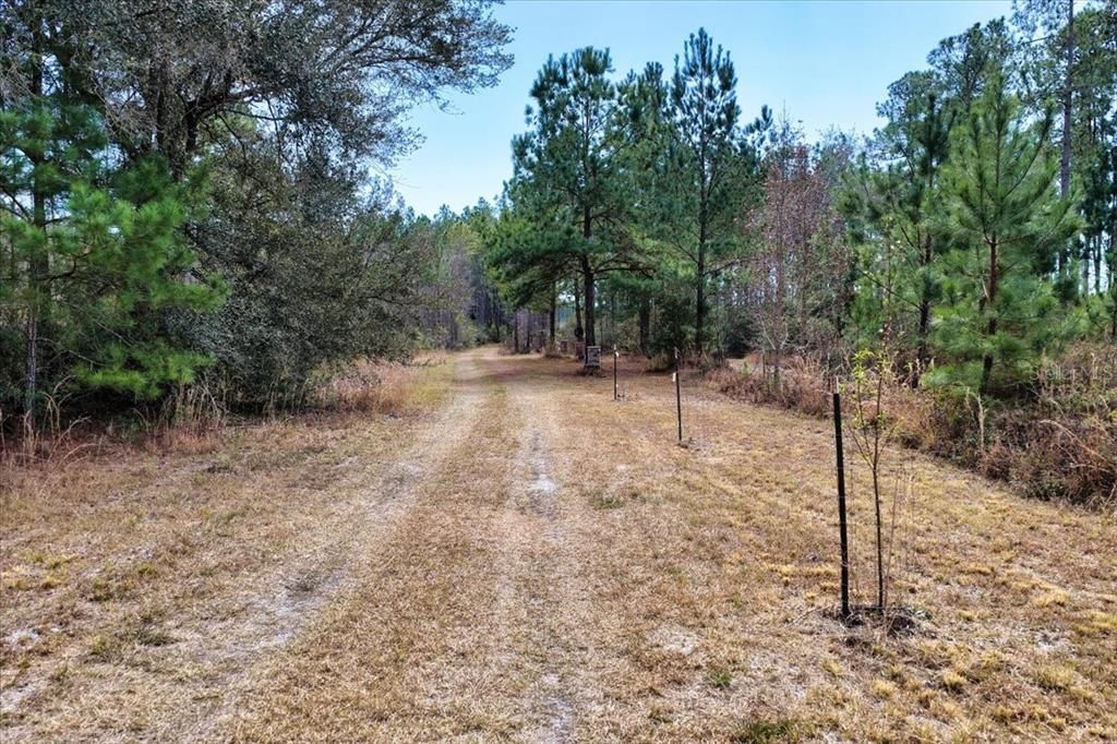 На продажу: $412,000 (59.89 acres)