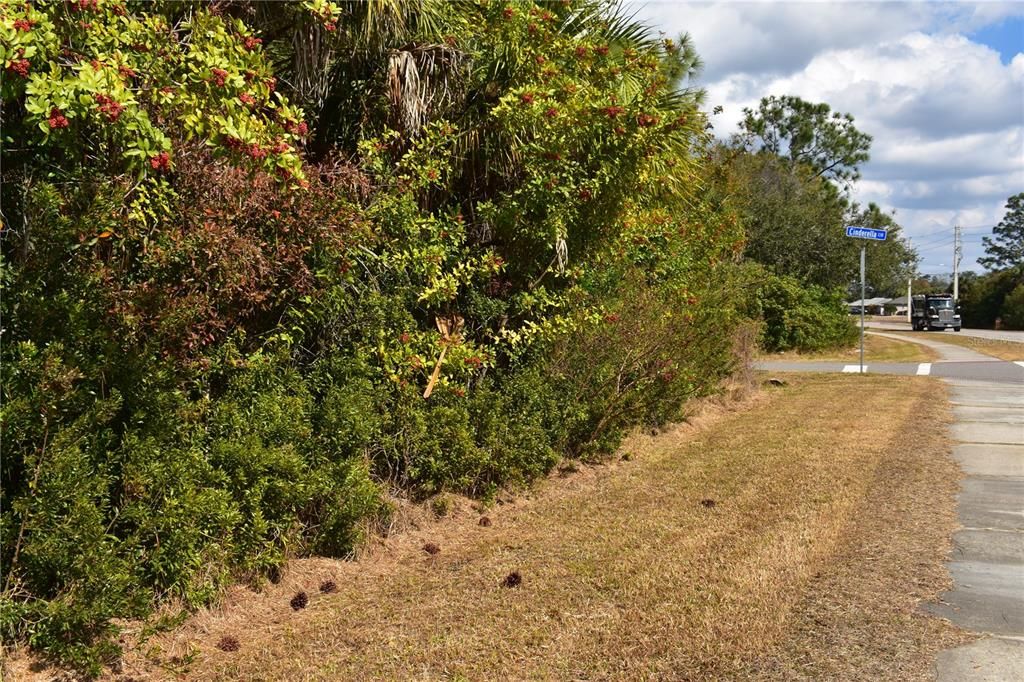 Activo con contrato: $15,000 (0.25 acres)