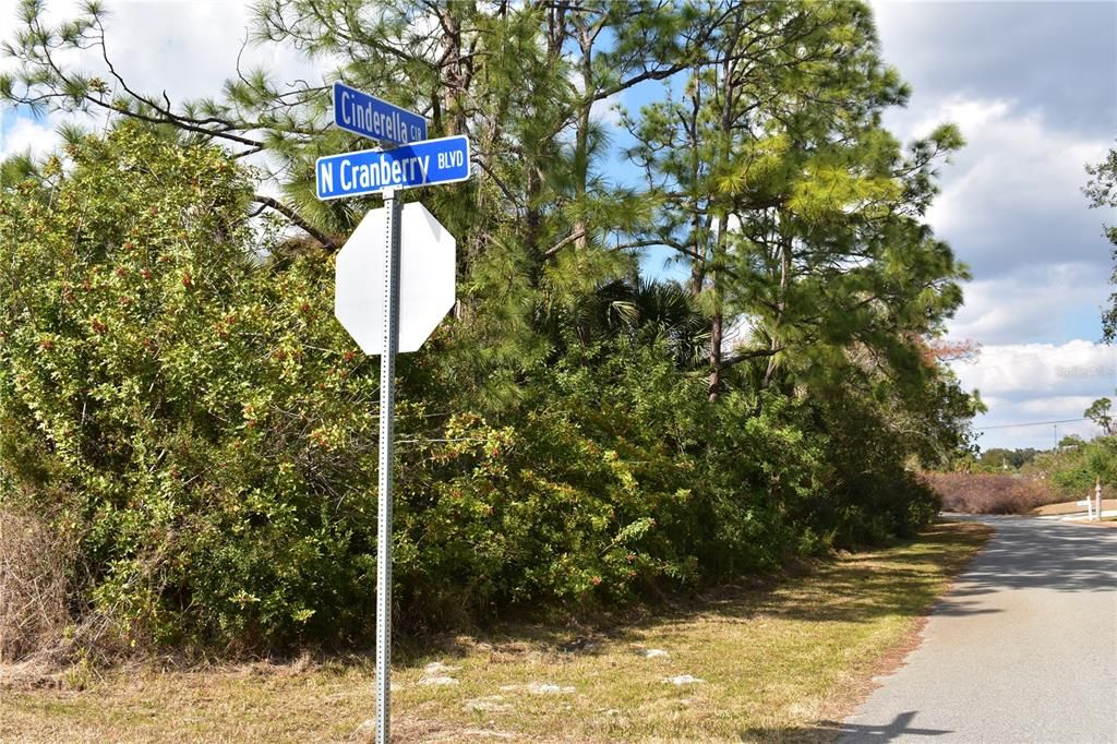 Activo con contrato: $15,000 (0.25 acres)