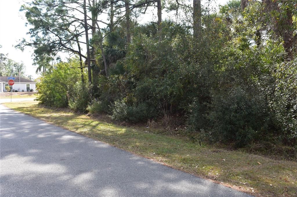 Activo con contrato: $15,000 (0.25 acres)