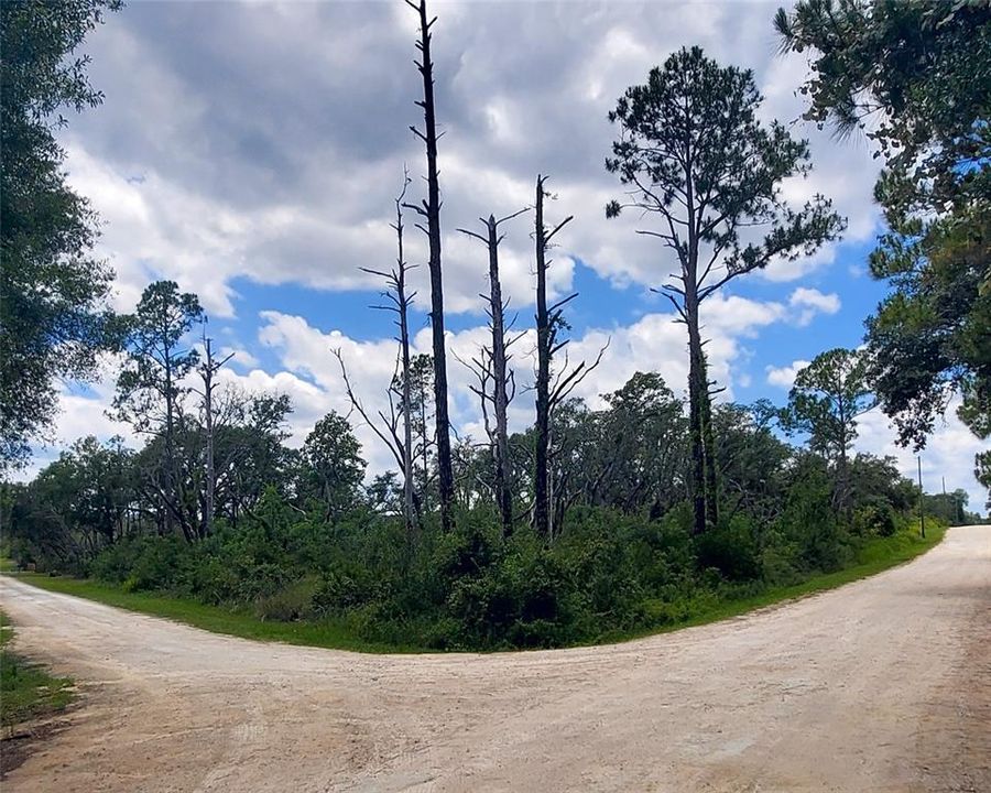 待售: $35,900 (1.16 acres)