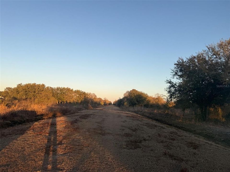 待售: $39,900 (1.25 acres)