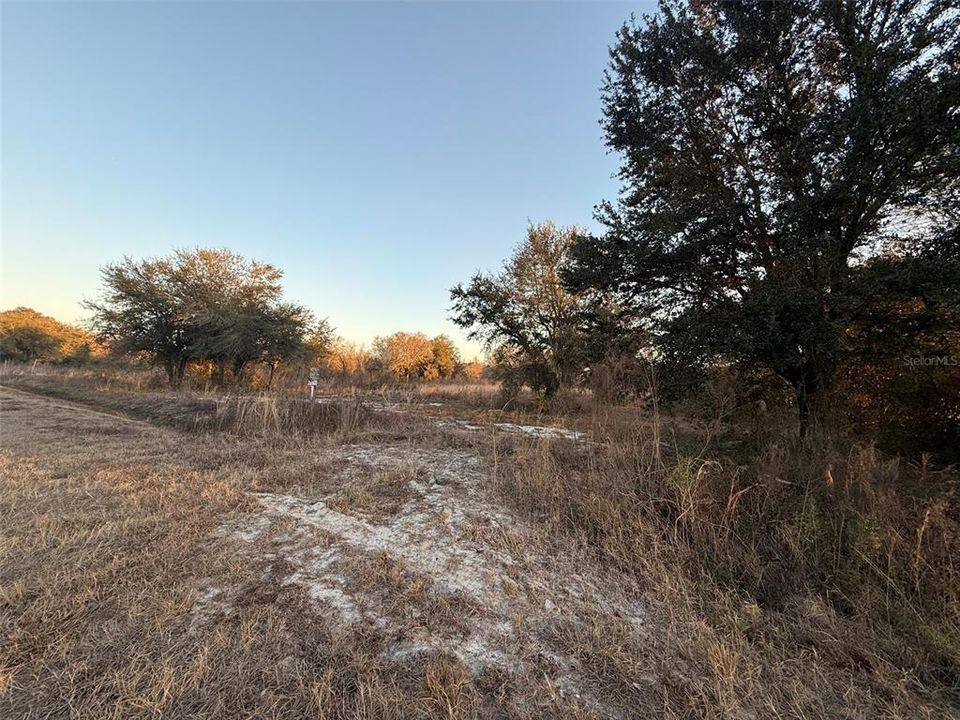 待售: $39,900 (1.25 acres)