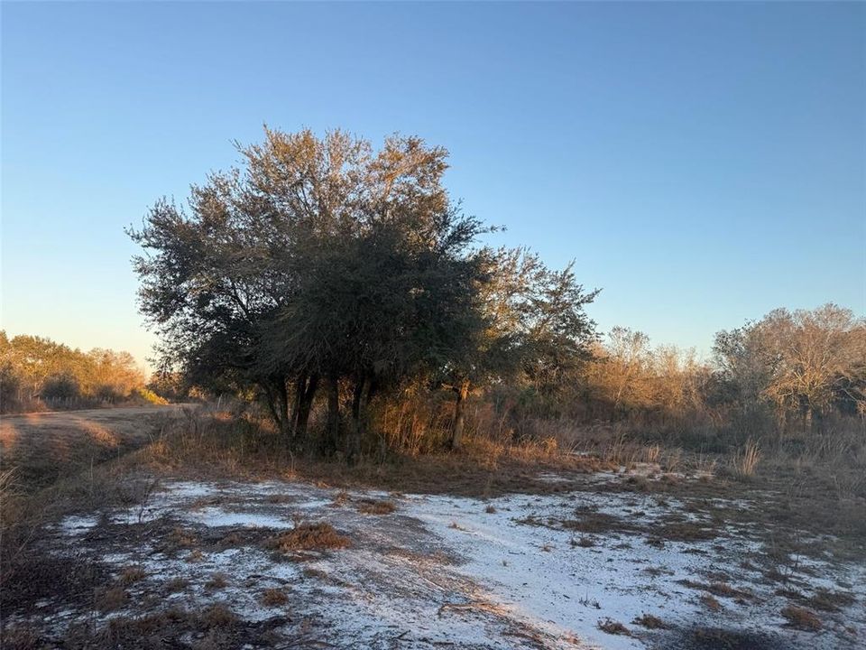 待售: $39,900 (1.25 acres)