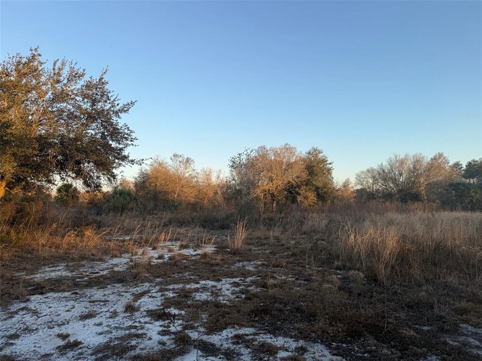 待售: $39,900 (1.25 acres)