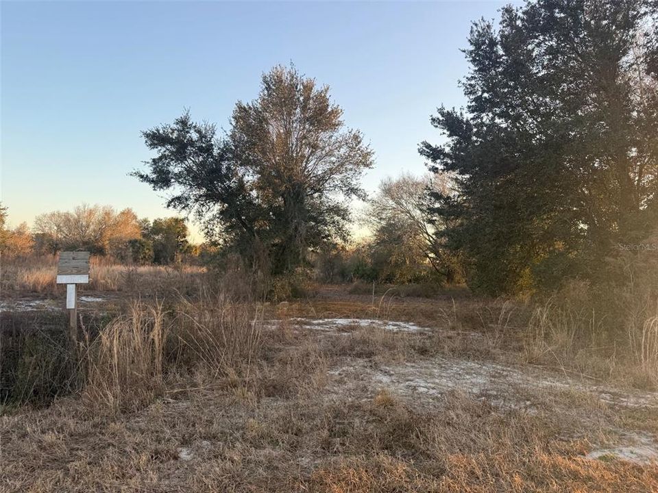 待售: $39,900 (1.25 acres)