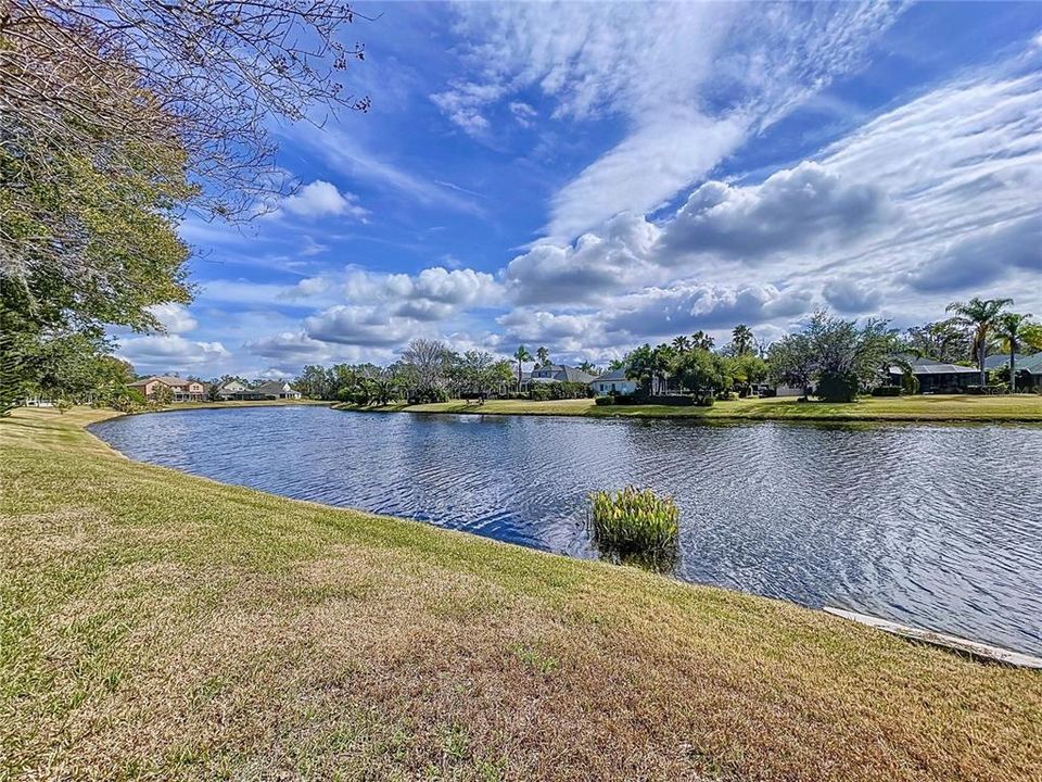 Activo con contrato: $629,500 (4 camas, 3 baños, 2498 Pies cuadrados)