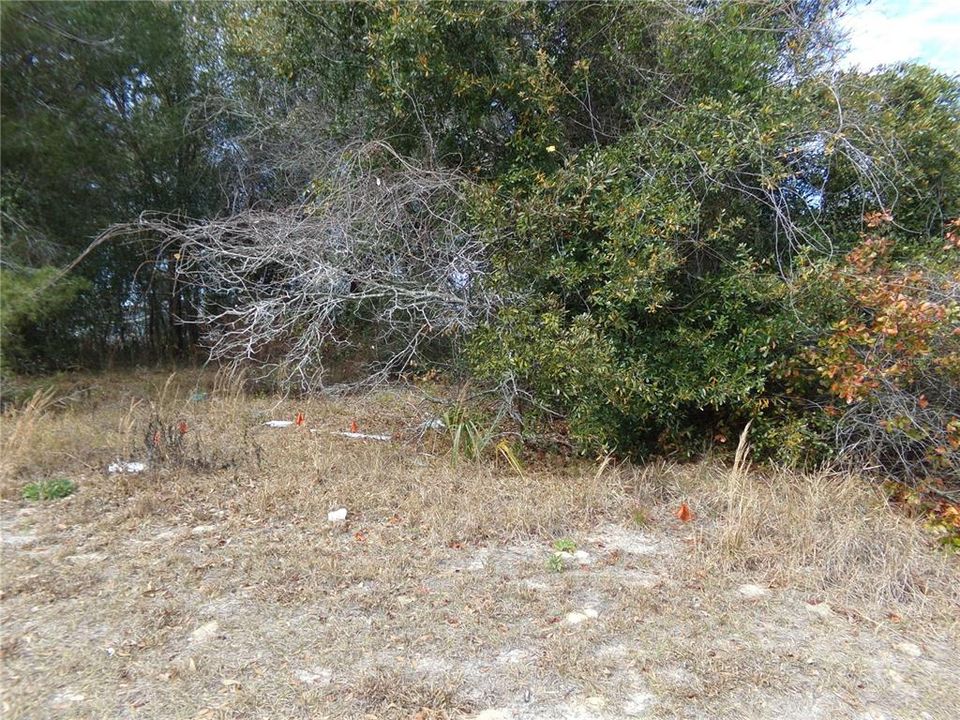 En Venta: $79,900 (0.17 acres)