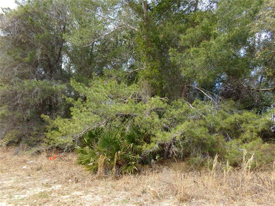 En Venta: $79,900 (0.17 acres)
