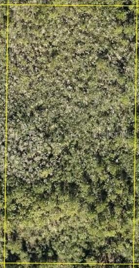 Недавно продано: $6,500 (5.00 acres)
