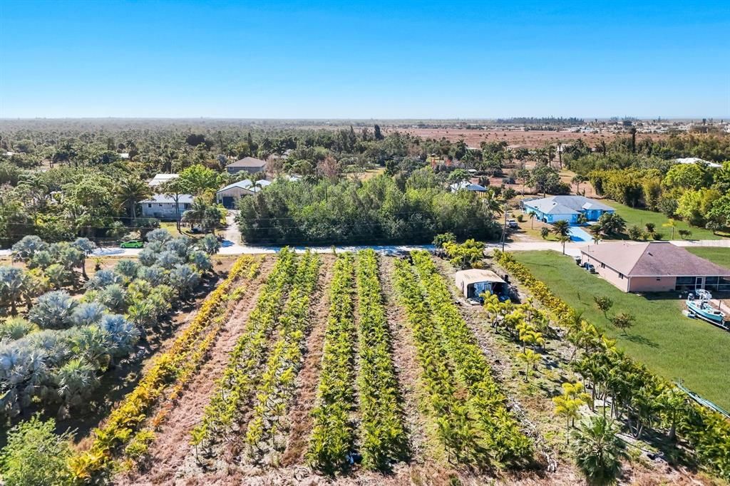 На продажу: $129,000 (1.00 acres)